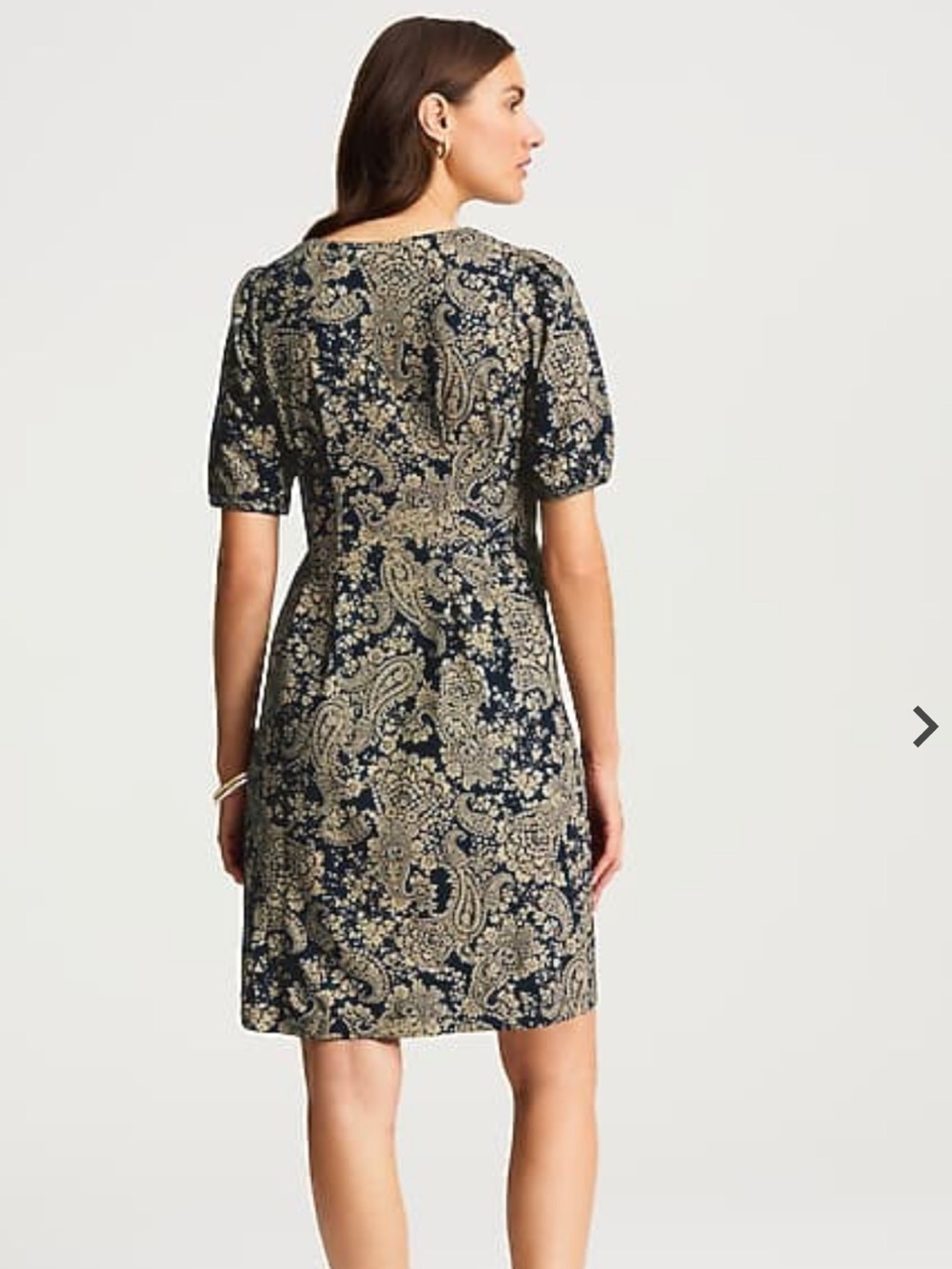 J. Jill Navy and Beige Paisley Short-Sleeve Dart-waist Knit Dress sz L NWT - Picture 2 of 12